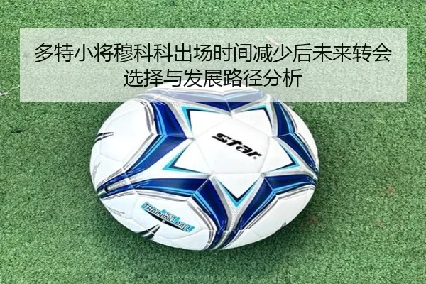 多特小将穆科科出场时间减少后未来转会选择与发展路径分析